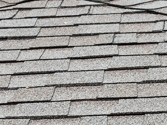 Redwolf Contracting Service Picture 3