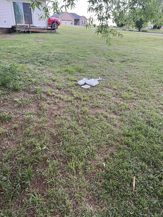 Best Choice Roofing Picture 4