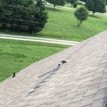 BRAJAR Roofing Solutions