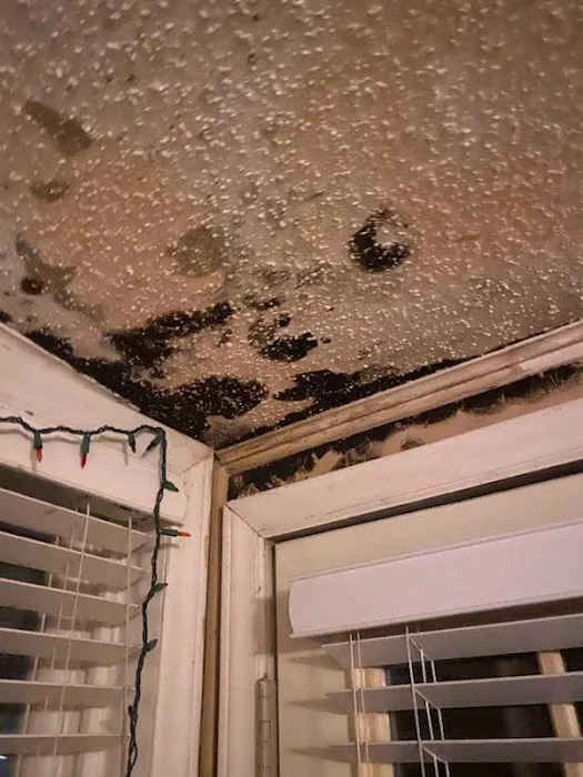 Cornerstone Construction - Roofing & Solar Picture 3