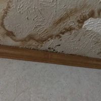 Charlotte Roofing and Remodeling ico