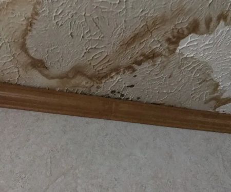 Charlotte Roofing and Remodeling