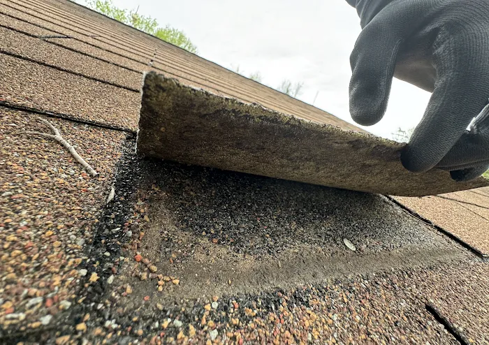 Banyan Roofing & General Contracting Picture 6