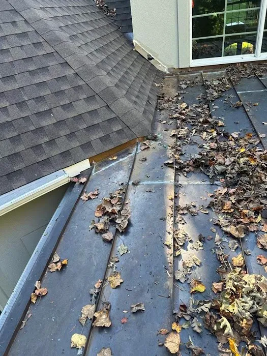 ProGuard Roofing and Restoration Picture 1