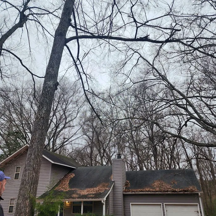 Carolina Storm Roofing Picture 6