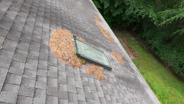 Litespeed Construction - Asheville Roofing Contractor Picture 5