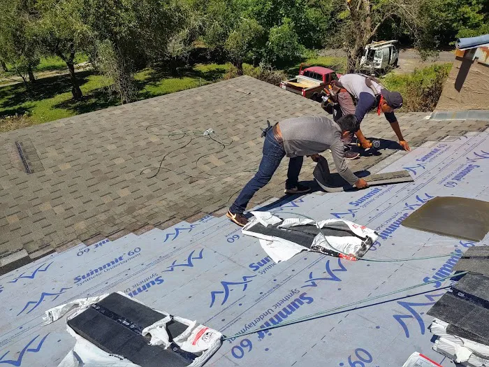 Roof Guy WNC Picture 6