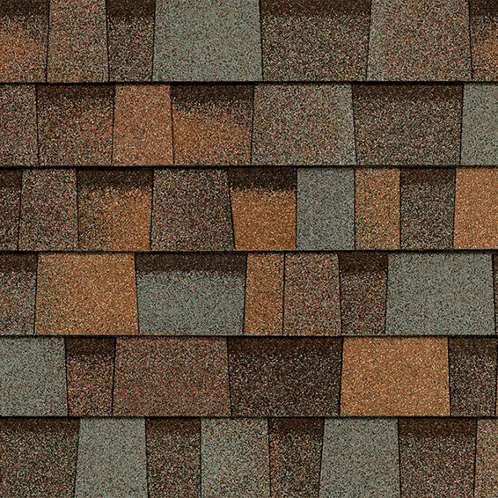 BCI Shingle Specialist Picture 5