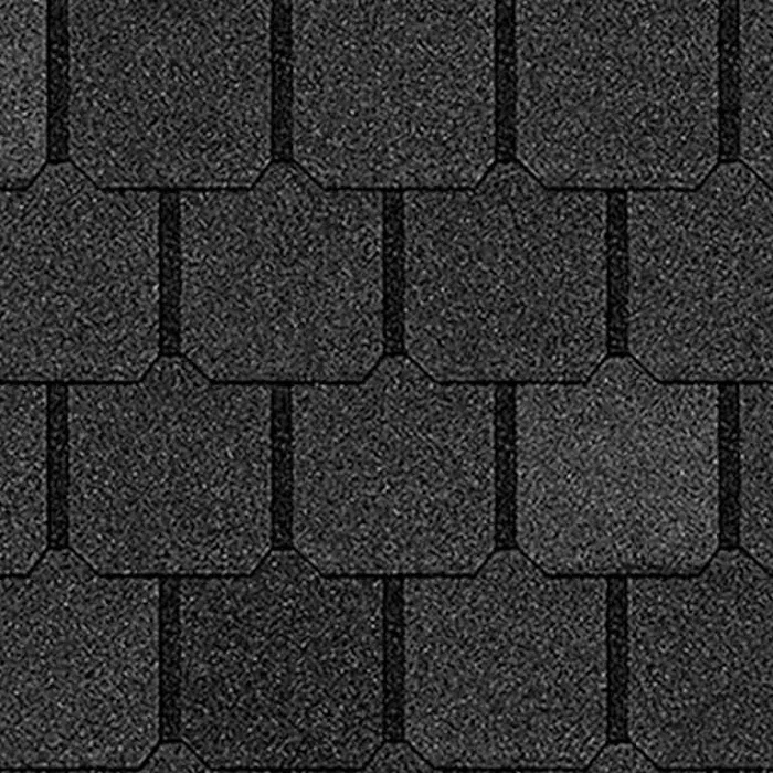 BCI Shingle Specialist Picture 4