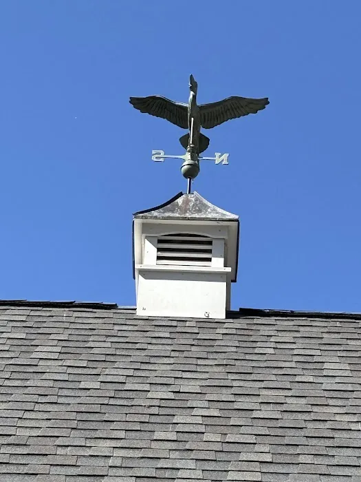 Bolton Roofing Picture 4