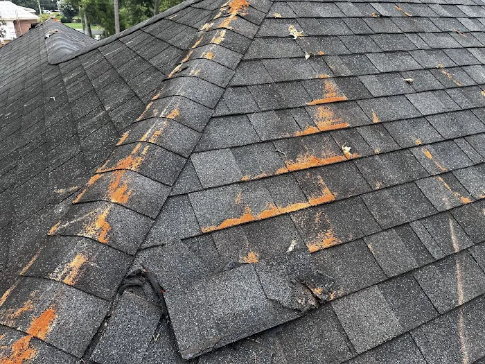 Galaxy Roofing Picture 3