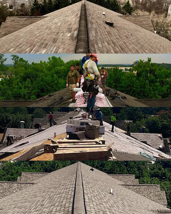 Panda Exteriors Picture 4