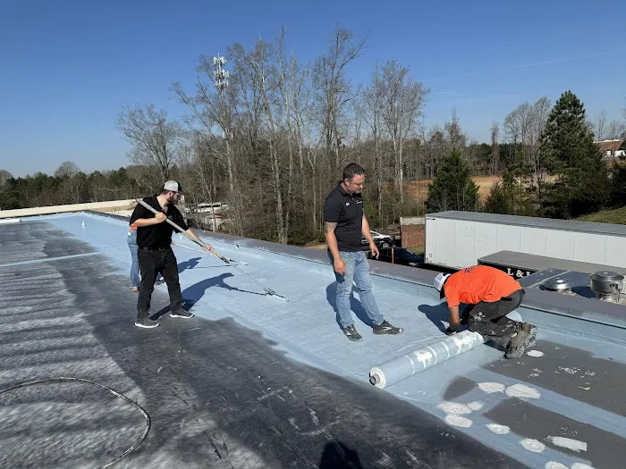 Modern Renewable Roofing Systems Picture 8