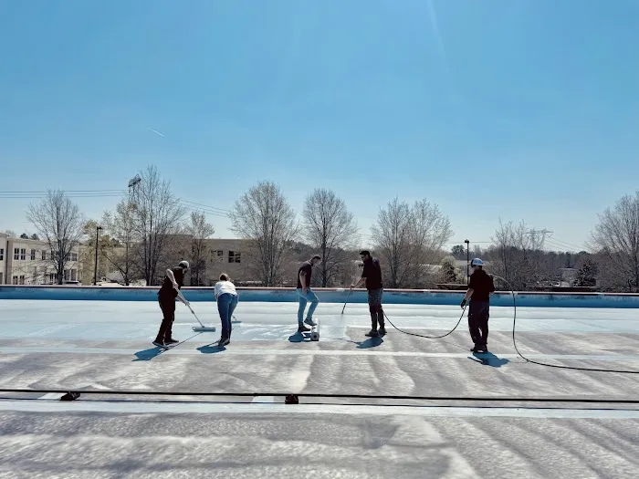 Modern Renewable Roofing Systems Picture 6