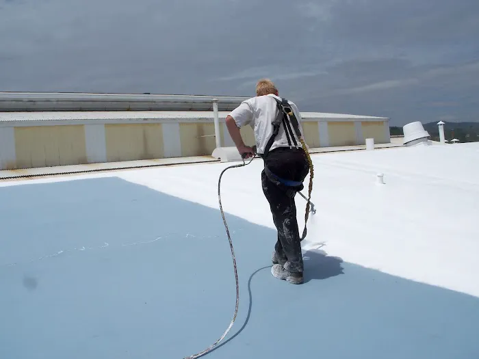 Modern Renewable Roofing Systems Picture 5