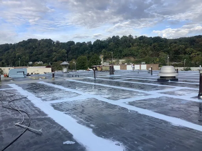 Modern Renewable Roofing Systems Picture 3