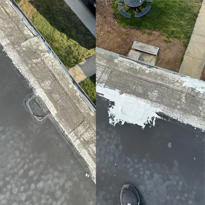 Modern Renewable Roofing Systems Picture 7