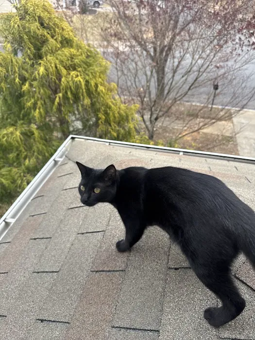 Top Tier Roofing Solutions Picture 3