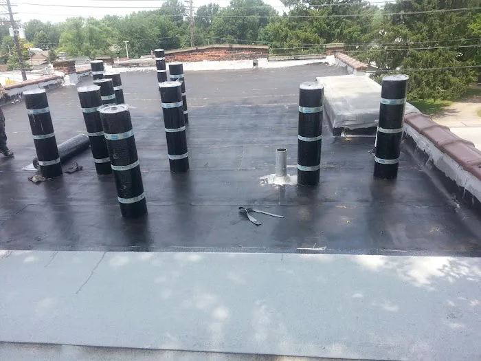 ROOF SOLUTIONS Picture 7