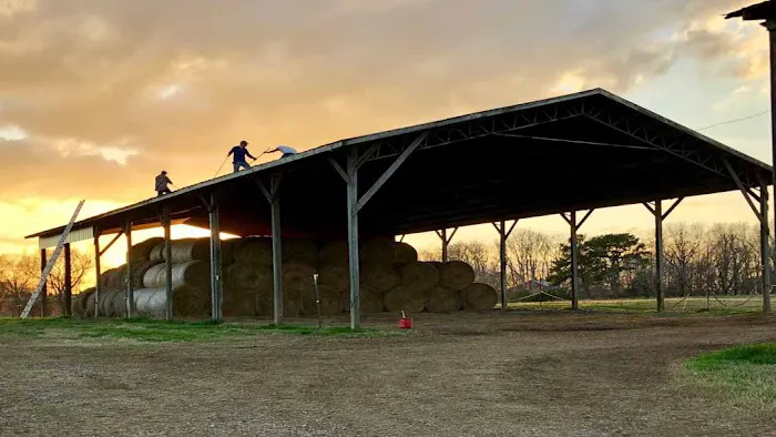High Top Roofing Picture 1