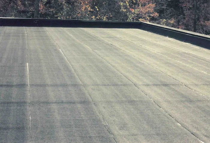 High Top Roofing Picture 4