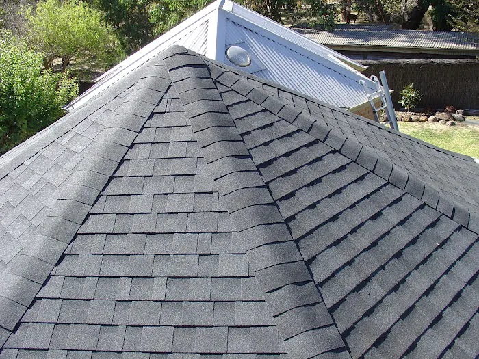 BCI Shingle Specialist Picture 8