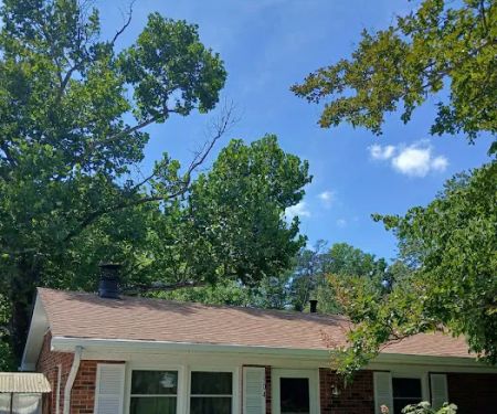 High Standard Roofing LLC