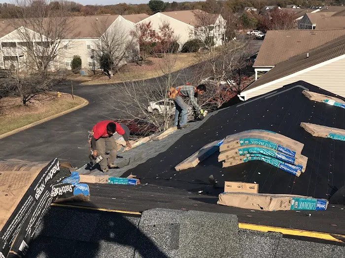 Platinum roofing USA Picture 3