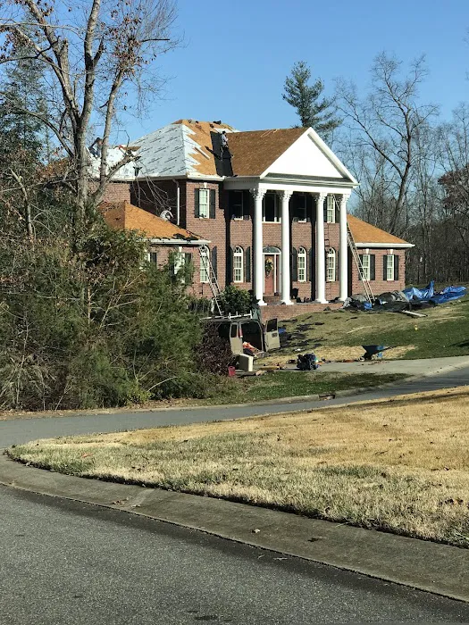 Platinum roofing USA Picture 4