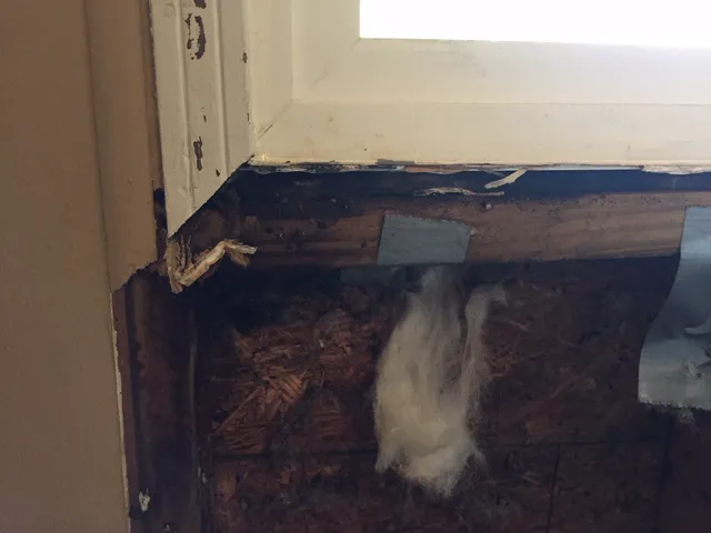 JGP Building Company Picture 2