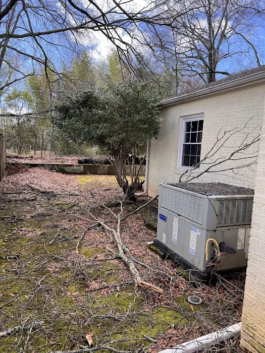 Race City Roofing Picture 9