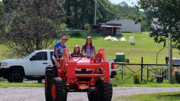 LKN Roofing Picture 7