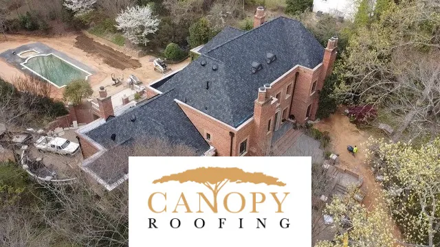 Canopy Roofing Picture 7