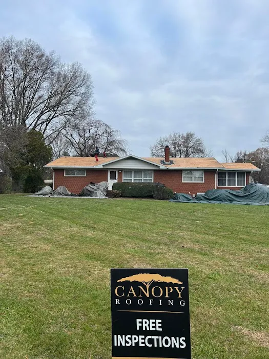 Canopy Roofing Picture 4