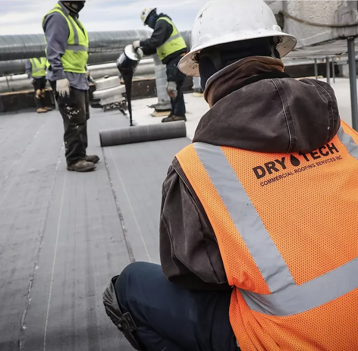 DryTech Roofing Picture 8