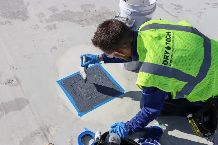 DryTech Roofing Picture 6