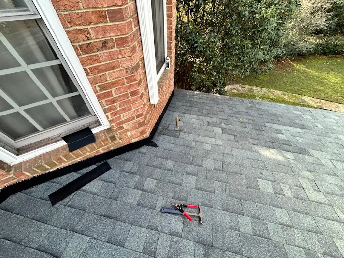 Cuban Bred Roofing Picture 3