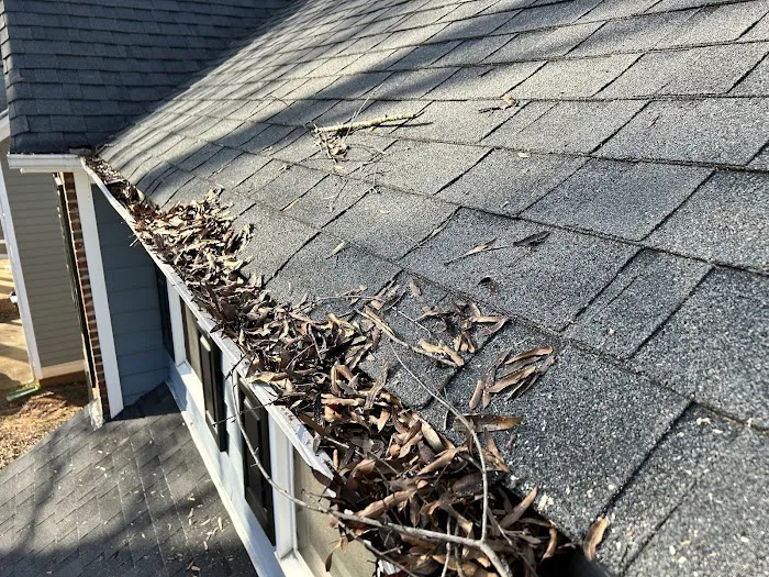 Cuban Bred Roofing Picture 10