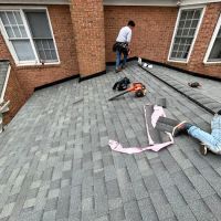 Cuban Bred Roofing ico