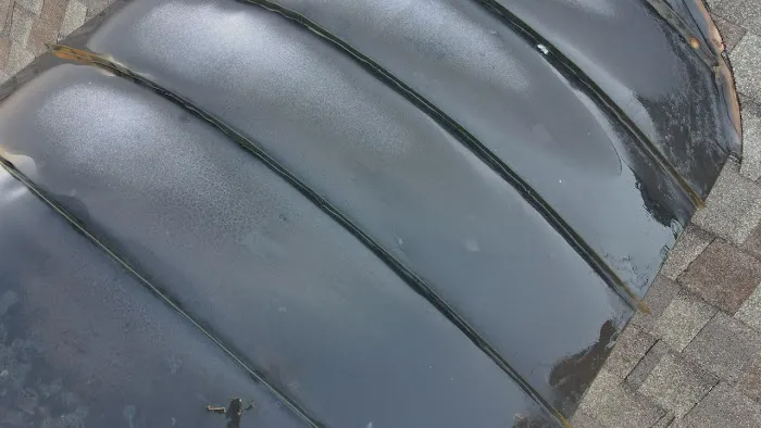 Cuban Bred Roofing Picture 4