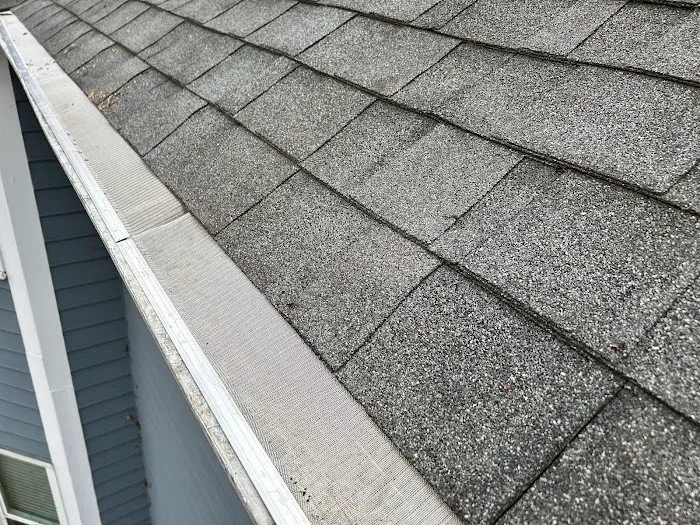 Cuban Bred Roofing Picture 5