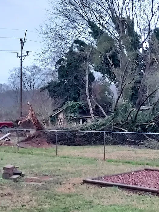 Cuban Bred Roofing Picture 2