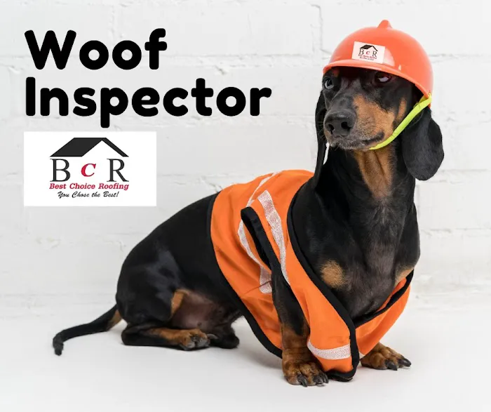 Best Choice Roofing Picture 6