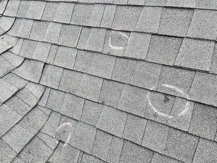 Steele Restoration LLC Picture 1