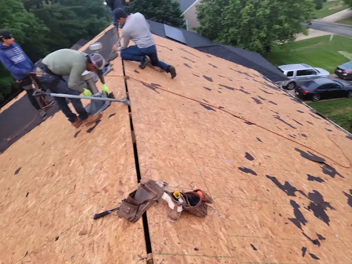 Renoir Restoration Picture 3