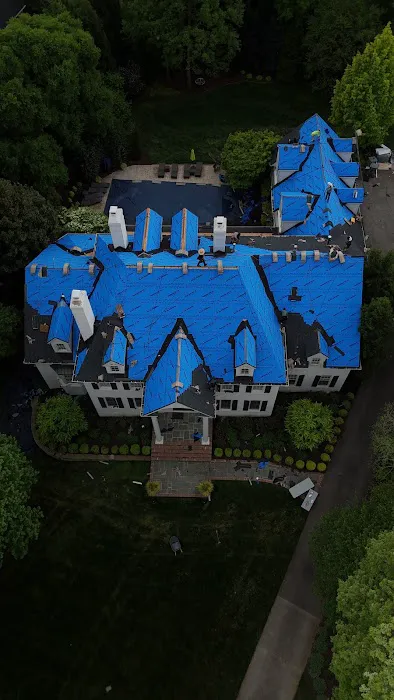 Renoir Restoration Picture 9