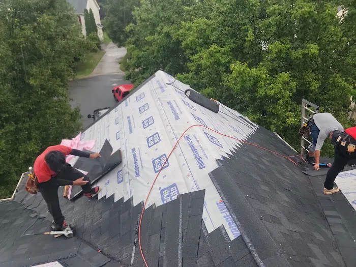 Renoir Restoration Picture 8