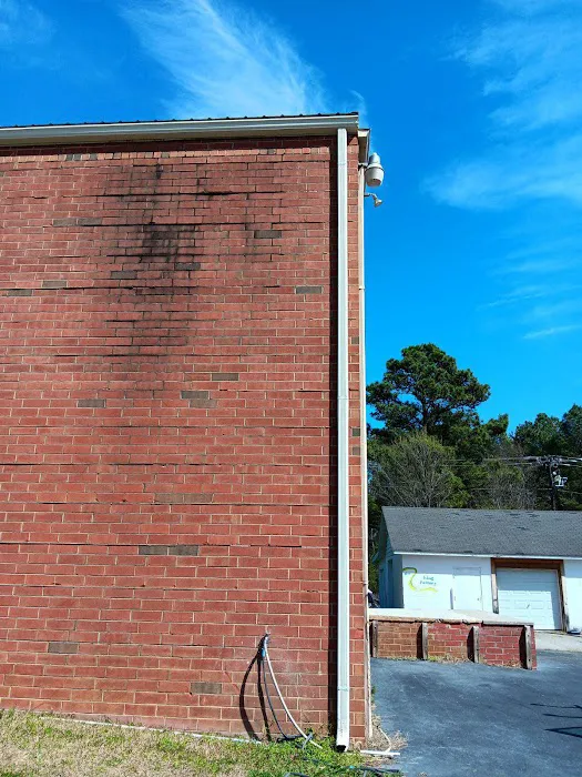 Renoir Restoration Picture 2