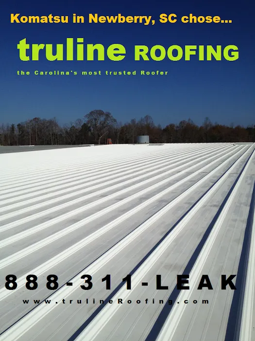 Truline Roofing Picture 6