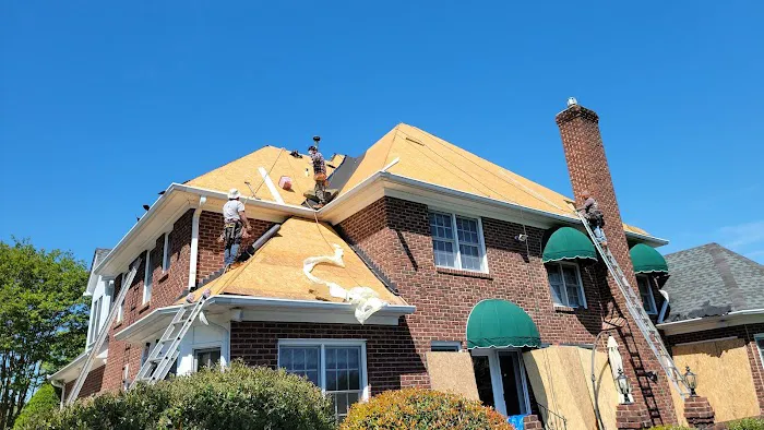 Shingles Roof Direct Picture 2